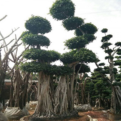 06.jpg